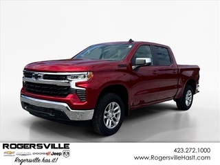 2024 Chevrolet Silverado 1500 for sale in Rogersville TN