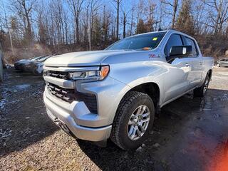 2022 Chevrolet Silverado 1500 for sale in Mount Hope WV