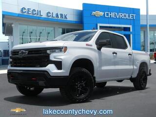 2024 Chevrolet Silverado 1500 for sale in Leesburg FL