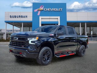 2024 Chevrolet Silverado 1500 for sale in Ann Arbor MI