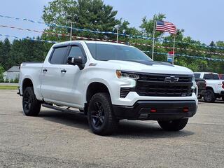 2023 Chevrolet Silverado 1500 for sale in Dowagiac MI