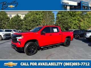 2024 Chevrolet Silverado 1500 for sale in Knoxville TN
