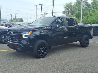 2023 Chevrolet Silverado 1500 for sale in Taylor MI