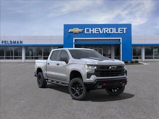 2024 Chevrolet Silverado 1500 for sale in Novi MI