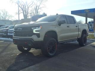 2022 Chevrolet Silverado 1500 for sale in Taylor MI