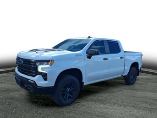 2023 Chevrolet Silverado 1500 for sale in West Seneca NY