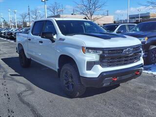 2024 Chevrolet Silverado 1500 for sale in Brookpark OH