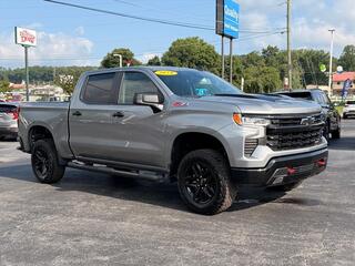 2024 Chevrolet Silverado 1500 for sale in Princeton WV