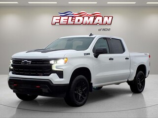 2024 Chevrolet Silverado 1500 for sale in Novi MI