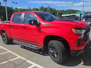 2024 Chevrolet Silverado 1500 for sale in Roanoke VA