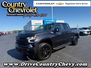 2024 Chevrolet Silverado 1500 for sale in Herscher IL