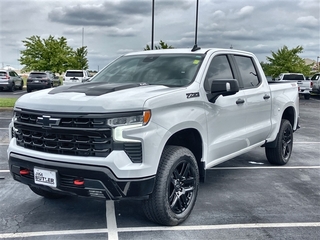 2023 Chevrolet Silverado 1500 for sale in Fenton MO