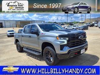 2023 Chevrolet Silverado 1500 for sale in Mountain View AR