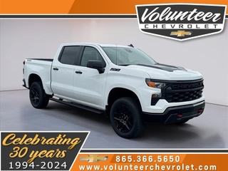 2024 Chevrolet Silverado 1500 for sale in Sevierville TN