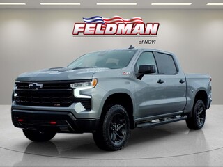2024 Chevrolet Silverado 1500 for sale in Novi MI