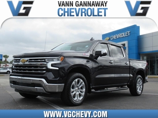 2022 Chevrolet Silverado 1500 for sale in Eustis FL