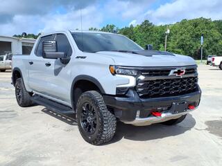 2024 Chevrolet Silverado 1500 for sale in Corrigan TX