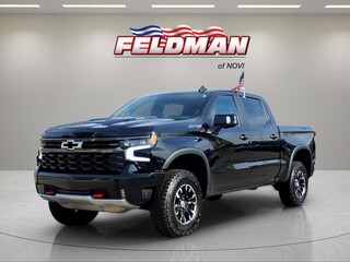 2024 Chevrolet Silverado 1500 for sale in Novi MI