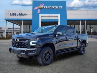2024 Chevrolet Silverado 1500 for sale in Ann Arbor MI