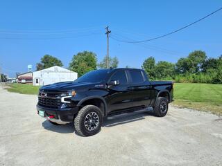 2024 Chevrolet Silverado 1500 for sale in Momence IL