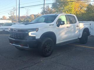 2024 Chevrolet Silverado 1500 for sale in Taylor MI