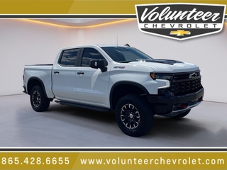 2024 Chevrolet Silverado 1500 for sale in Sevierville TN