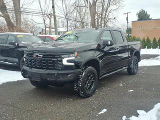 2023 Chevrolet Silverado 1500 for sale in Taylor MI