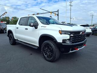 2023 Chevrolet Silverado 1500 for sale in Morehead City NC