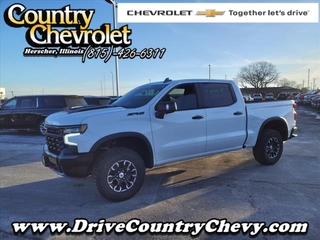 2024 Chevrolet Silverado 1500 for sale in Herscher IL