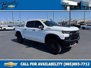 2023 Chevrolet Silverado 1500 for sale in Knoxville TN