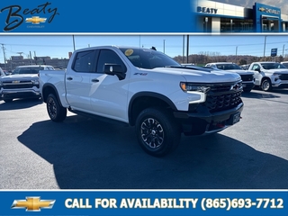 2022 Chevrolet Silverado 1500 for sale in Knoxville TN