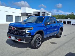 2023 Chevrolet Silverado 1500 for sale in Fort Washington MD
