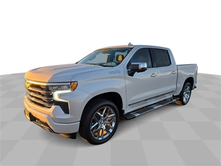 2024 Chevrolet Silverado 1500 for sale in Bradley IL