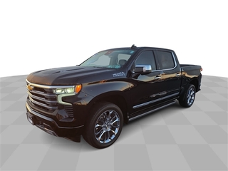 2024 Chevrolet Silverado 1500 for sale in Bradley IL