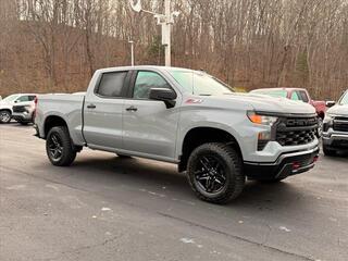 2025 Chevrolet Silverado 1500 for sale in Princeton WV