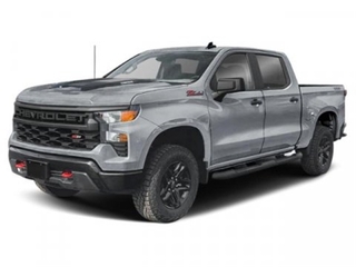 2025 Chevrolet Silverado 1500 for sale in Laredo TX
