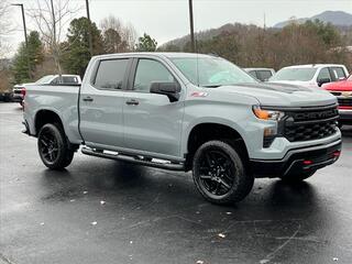 2025 Chevrolet Silverado 1500 for sale in Waynesville NC