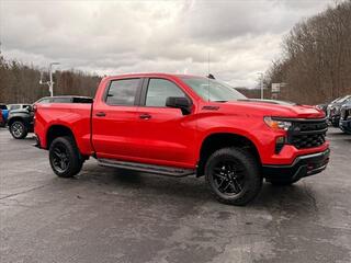 2025 Chevrolet Silverado 1500 for sale in Princeton WV