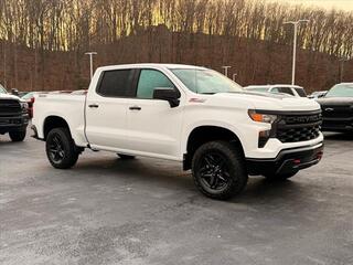 2025 Chevrolet Silverado 1500 for sale in Princeton WV