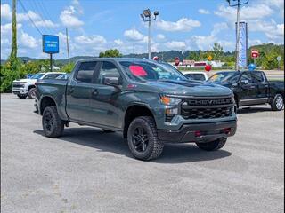 2025 Chevrolet Silverado 1500 for sale in Ringgold GA
