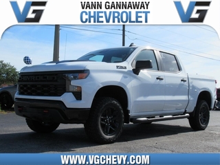 2025 Chevrolet Silverado 1500 for sale in Eustis FL