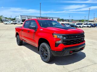 2025 Chevrolet Silverado 1500 for sale in Mountain View AR
