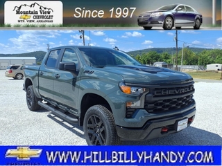 2026 Chevrolet Silverado 1500 for sale in Mountain View AR