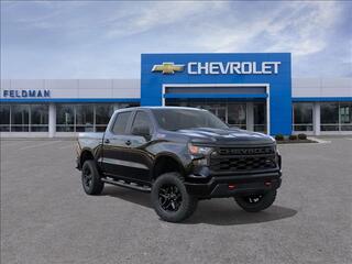 2026 Chevrolet Silverado 1500 for sale in Novi MI