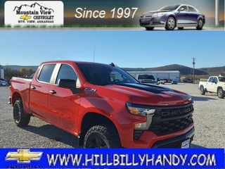 2025 Chevrolet Silverado 1500 for sale in Mountain View AR