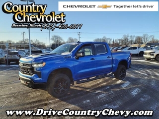 2025 Chevrolet Silverado 1500 for sale in Herscher IL