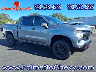 2026 Chevrolet Silverado 1500 for sale in Winchester VA
