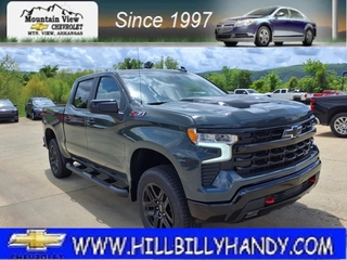 2025 Chevrolet Silverado 1500 for sale in Mountain View AR