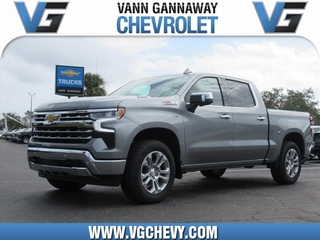 2025 Chevrolet Silverado 1500 for sale in Eustis FL