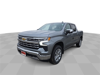 2025 Chevrolet Silverado 1500 for sale in Grand Rapids MN